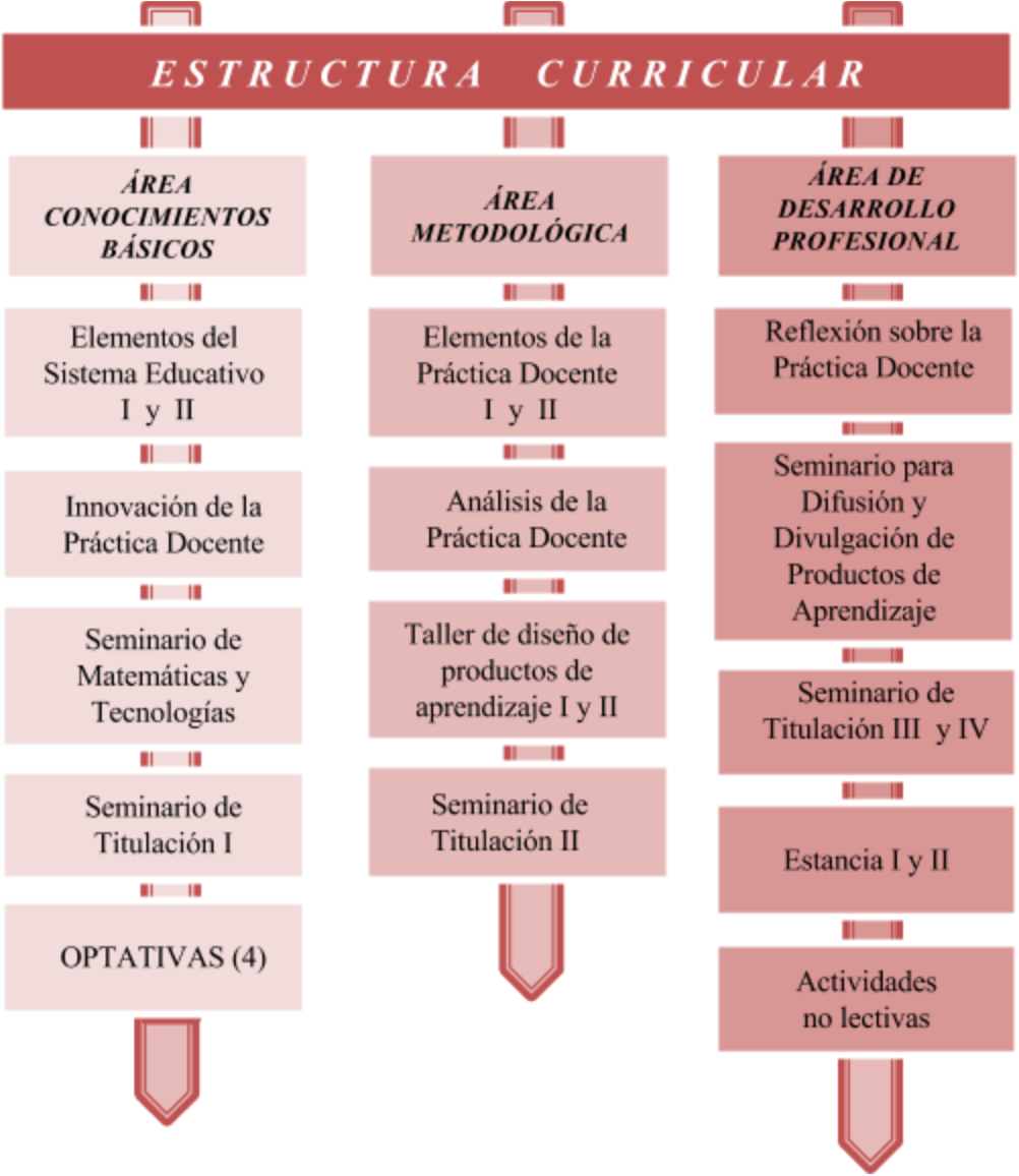estructura-curricular-1